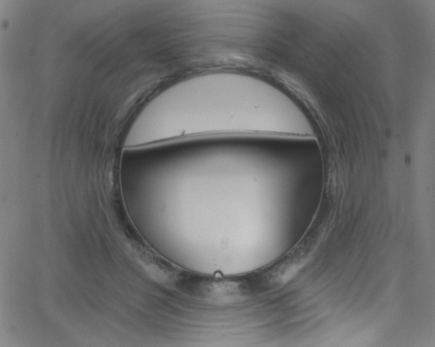 X0000068770501200604281021