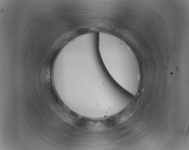 X0000068770502200604281021