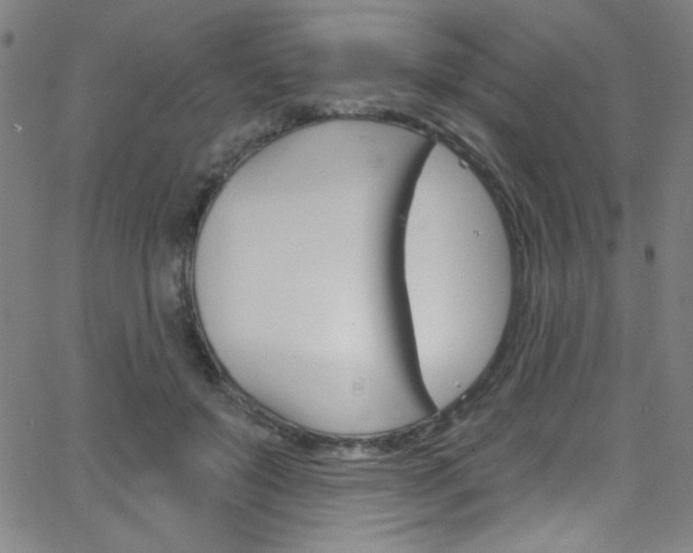 X0000068770503200604281021