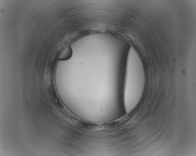 X0000068770504200604281021