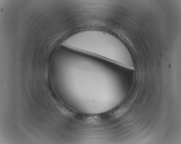 X0000068770505200604281021