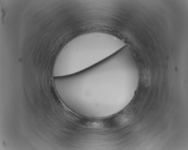 X0000068770506200604281021