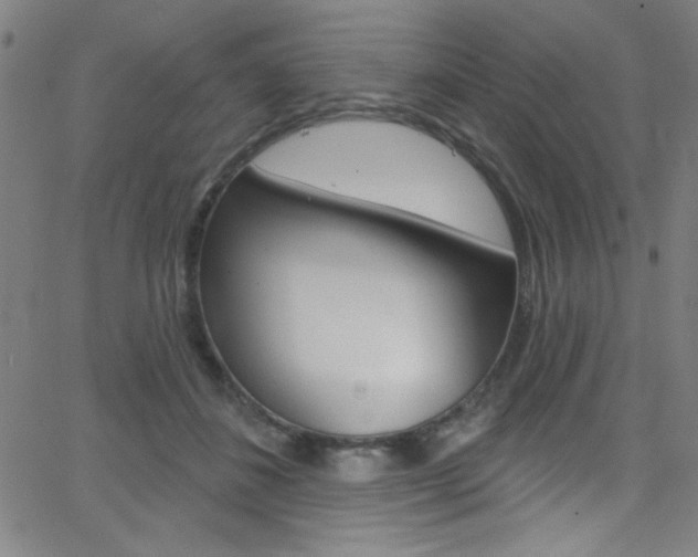 X0000068770508200604281021