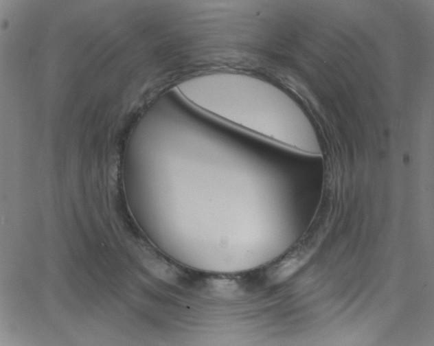 X0000068770509200604281021