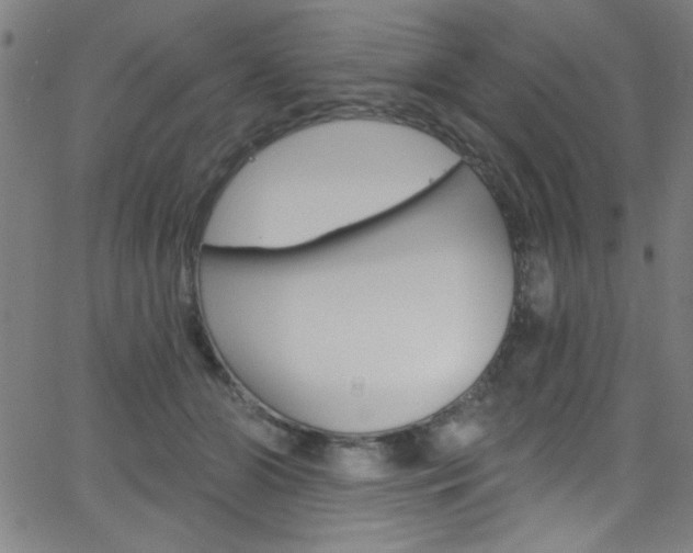 X0000068770510200604281021