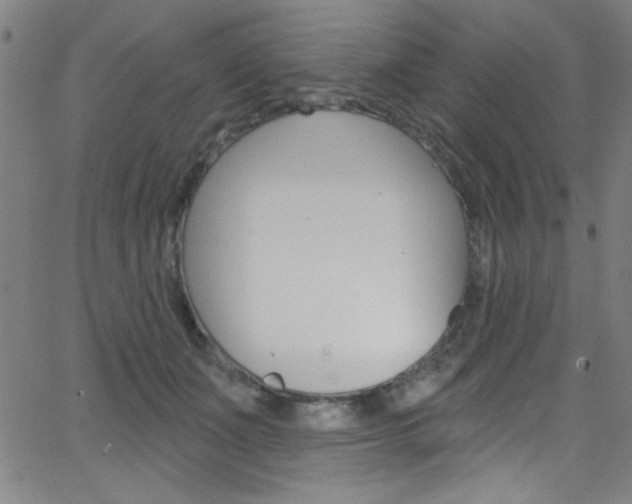 X0000068770511200604281021