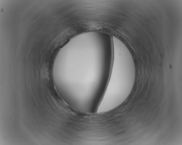 X0000068770512200604281021