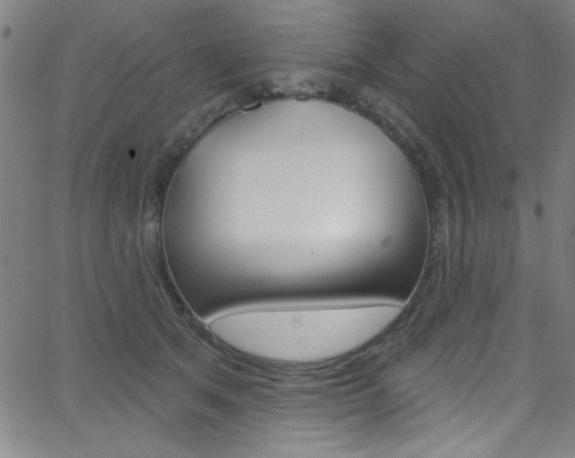 X0000068770513200604281021