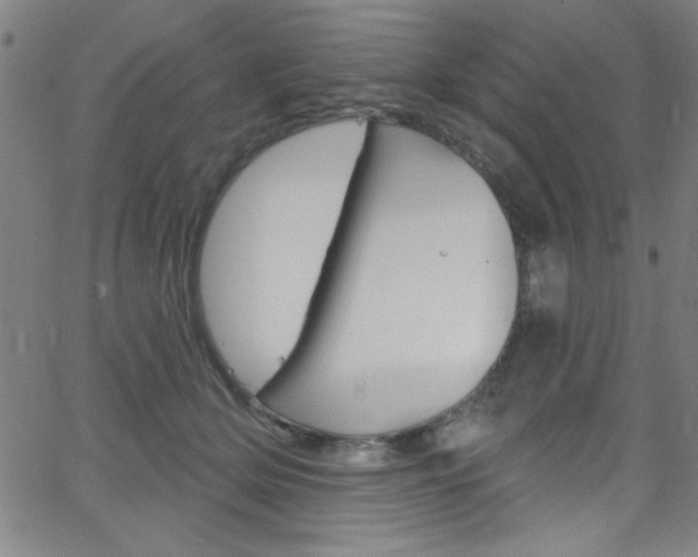 X0000068770514200604281021