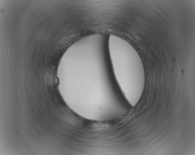 X0000068770515200604281021