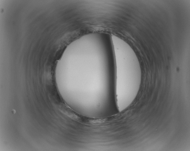 X0000068770516200604281021