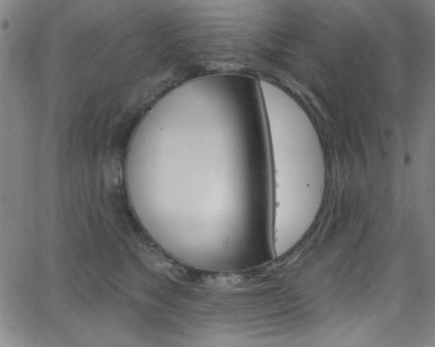 X0000068770517200604281021