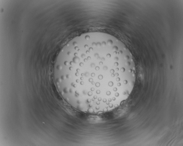 X0000068770519200604281021