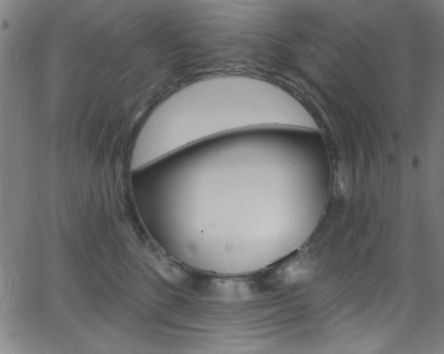 X0000068770520200604281021