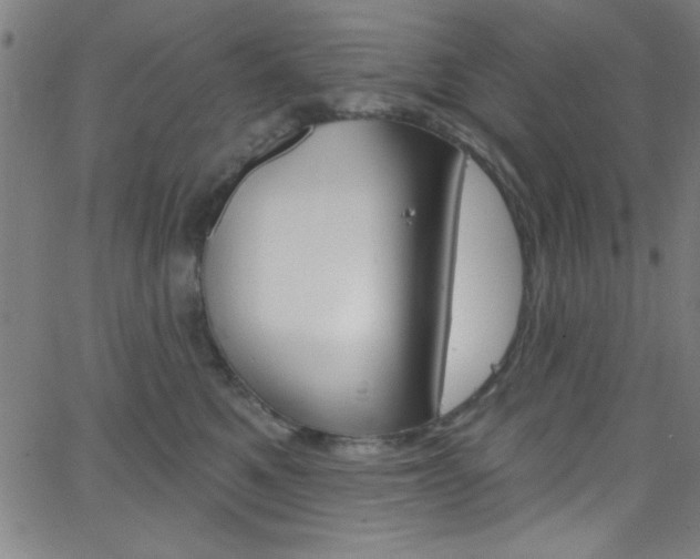 X0000068770521200604281021