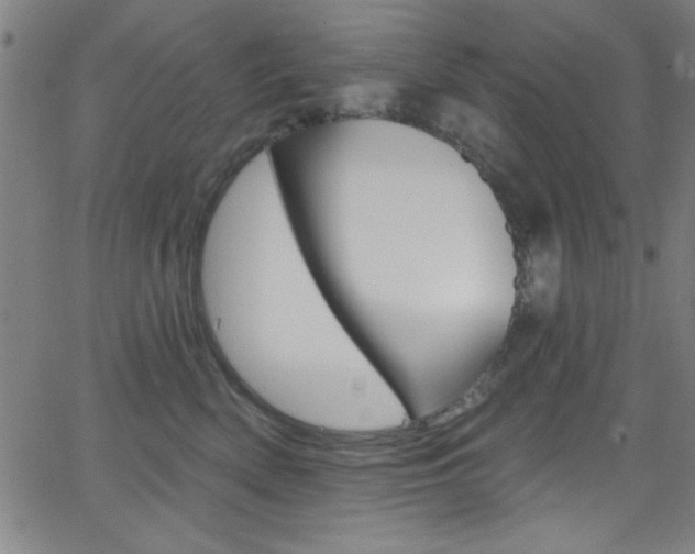 X0000068770522200604281021