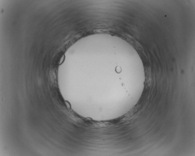 X0000068770523200604281021