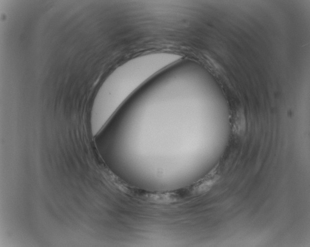 X0000068770524200604281021