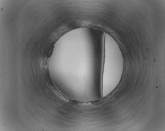 X0000068770525200604281021