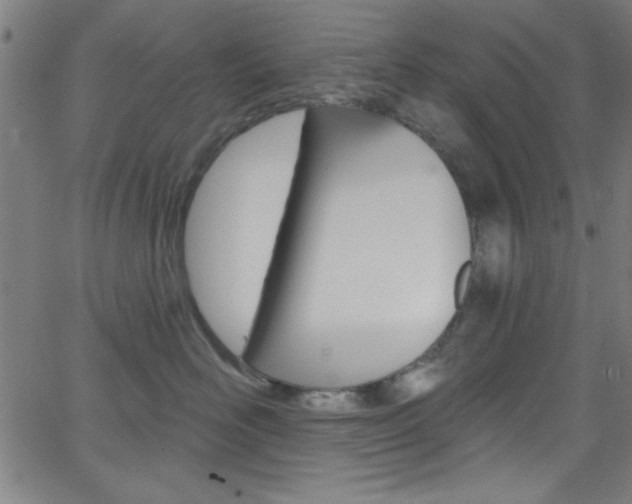 X0000068770526200604281021