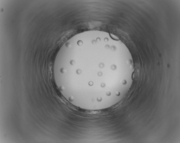 X0000068770527200604281021