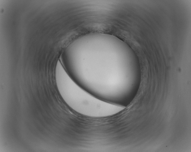 X0000068770528200604281021