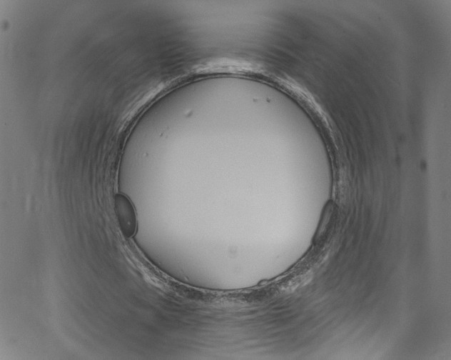 X0000068770529200604281020