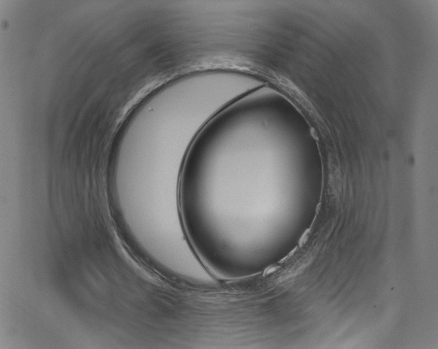 X0000068770530200604281020