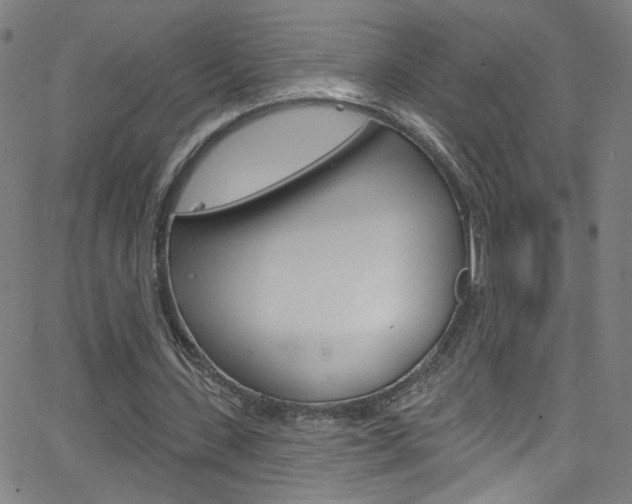 X0000068770531200604281020