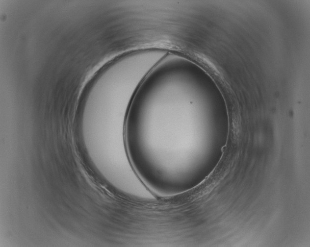 X0000068770532200604281020