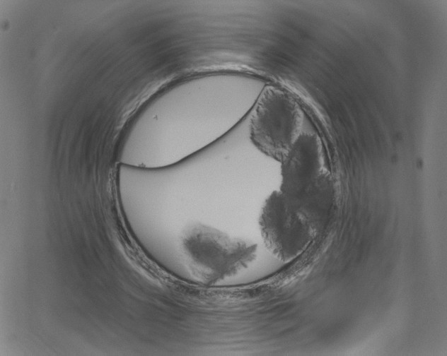 X0000068770533200604281020