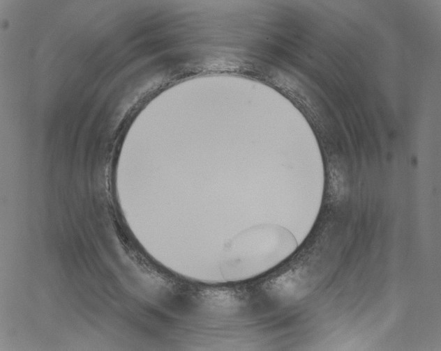 X0000068770534200604281020