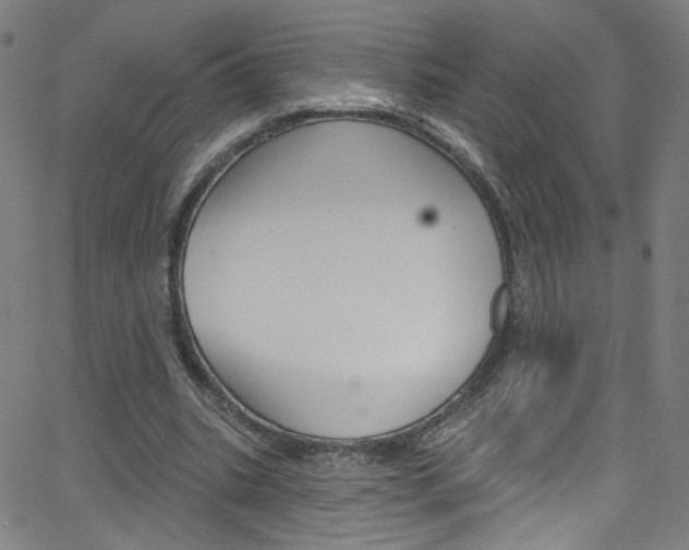 X0000068770535200604281020