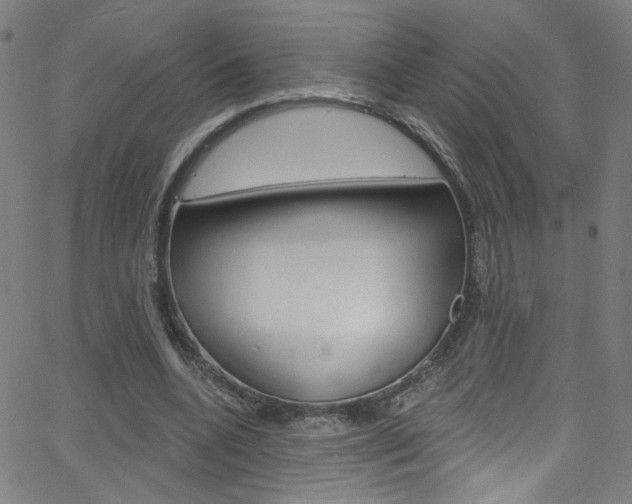 X0000068770536200604281020