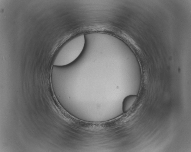 X0000068770537200604281020