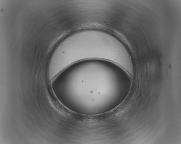 X0000068770538200604281020