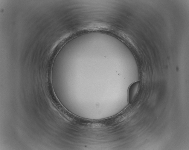 X0000068770539200604281020