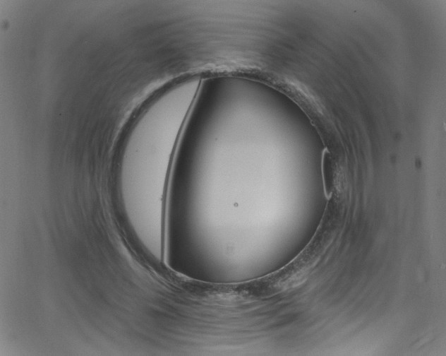 X0000068770540200604281020