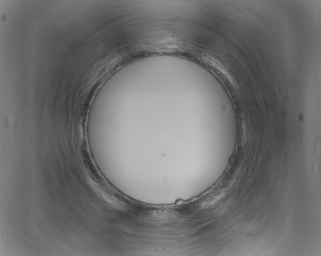 X0000068770541200604281020