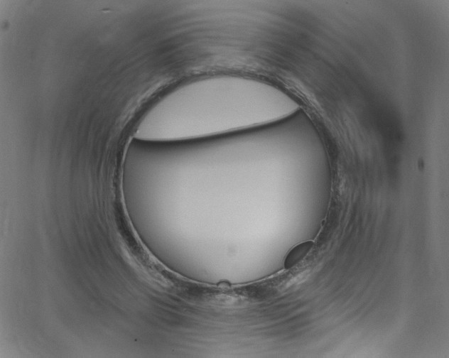 X0000068770542200604281020