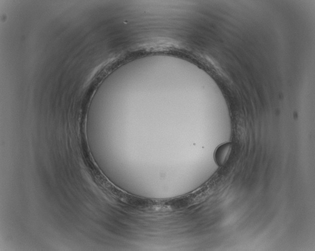 X0000068770543200604281020