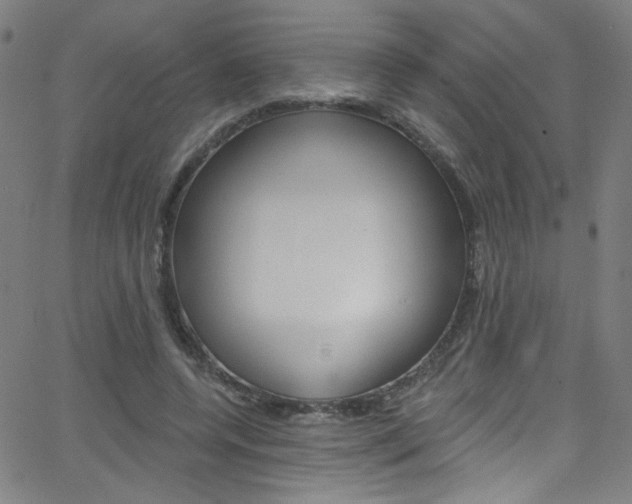 X0000068770544200604281020