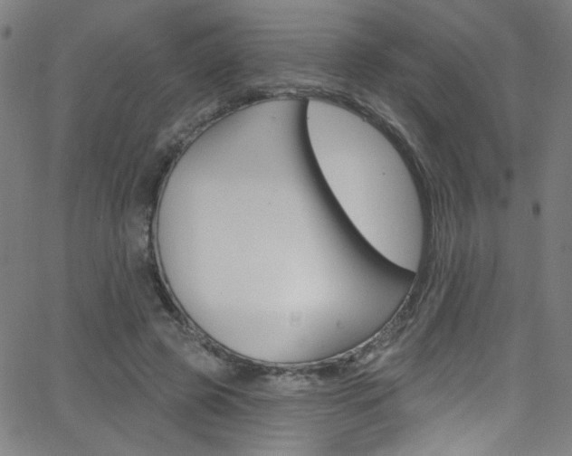 X0000068770545200604281020