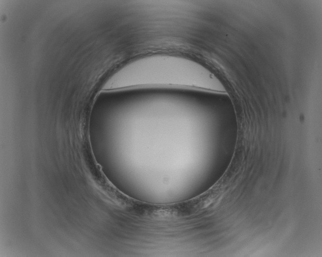 X0000068770546200604281020