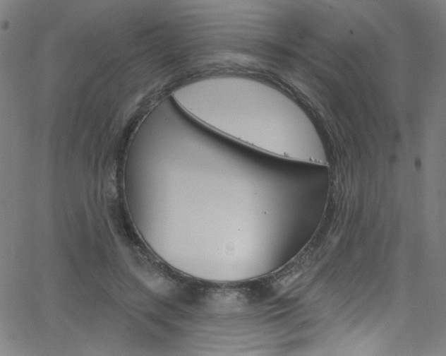 X0000068770547200604281020