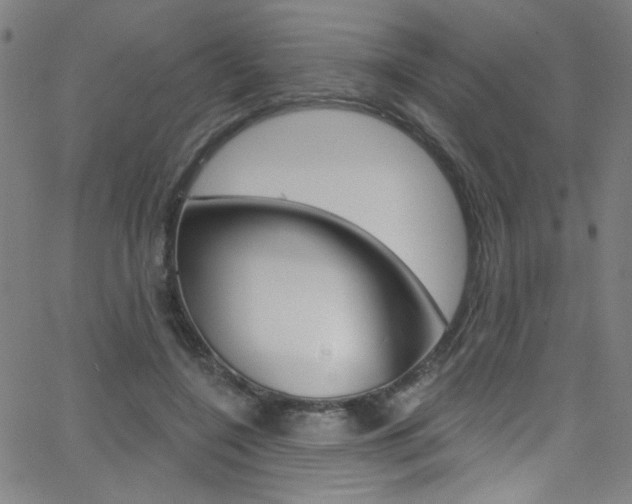 X0000068770548200604281020