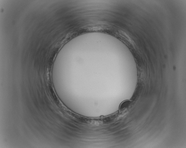 X0000068770549200604281020