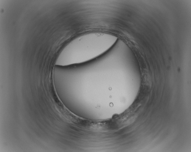 X0000068770550200604281020