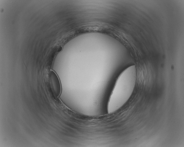 X0000068770551200604281020