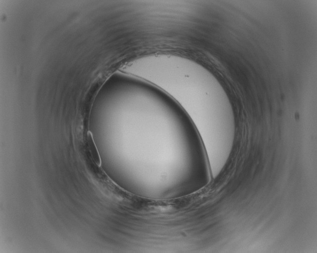 X0000068770552200604281020